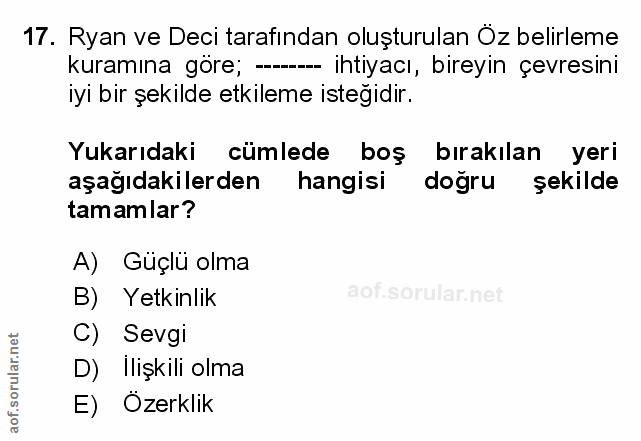 Soru 17