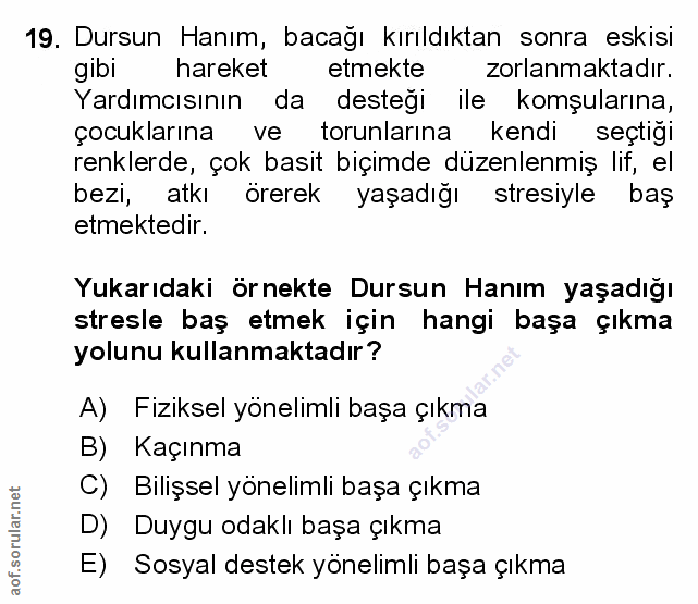 Soru 19