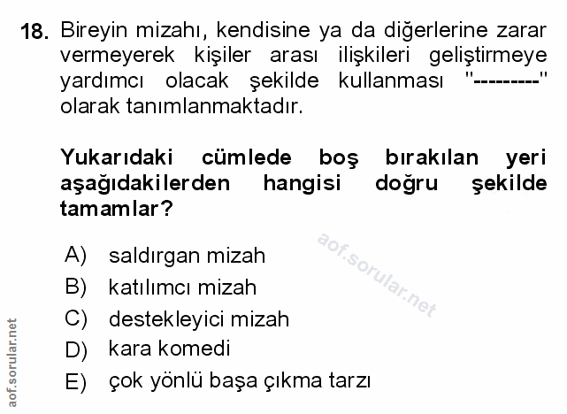 Soru 18