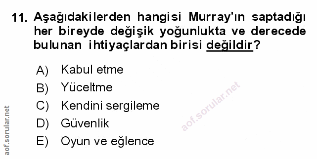 Soru 11