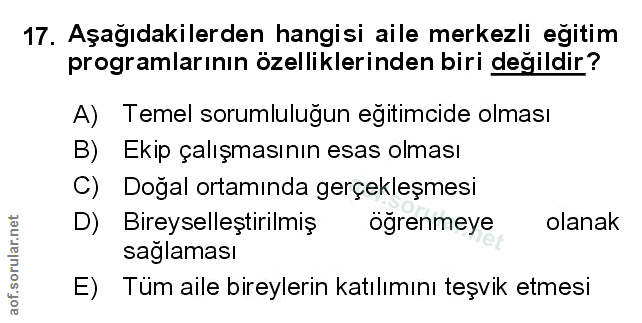 Soru 17