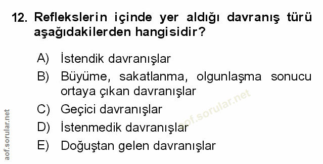 Soru 12