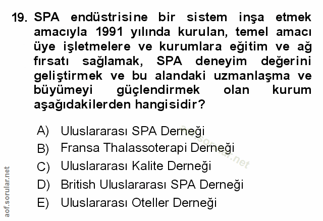 Soru 19