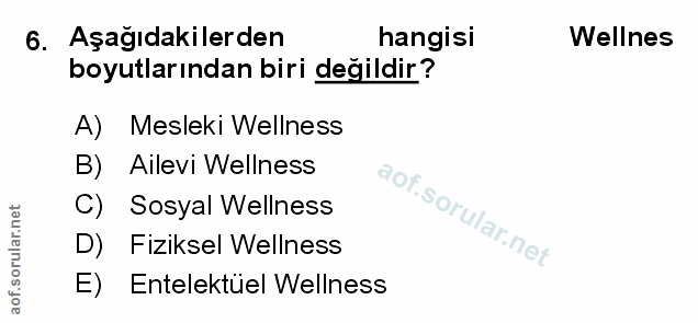Soru 6