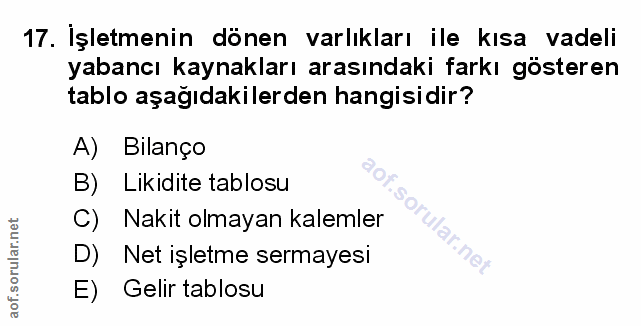 Soru 17