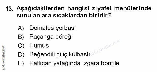 Soru 13
