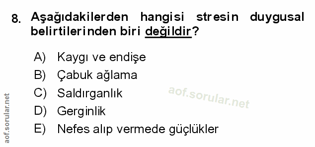 Soru 8