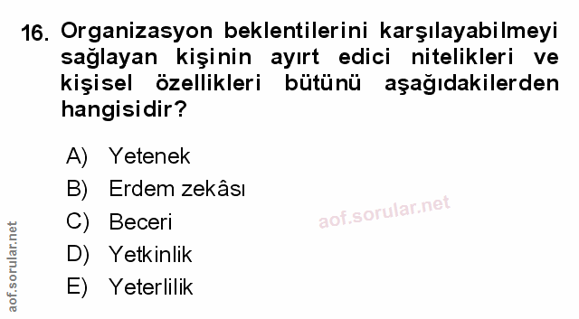 Soru 16