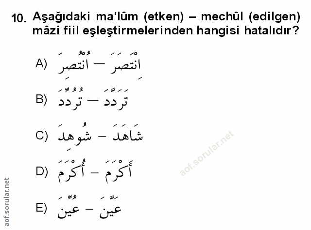 Soru 10