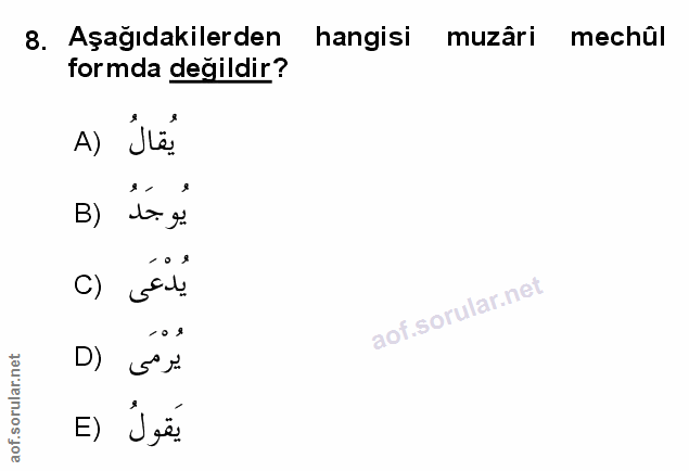 Soru 8