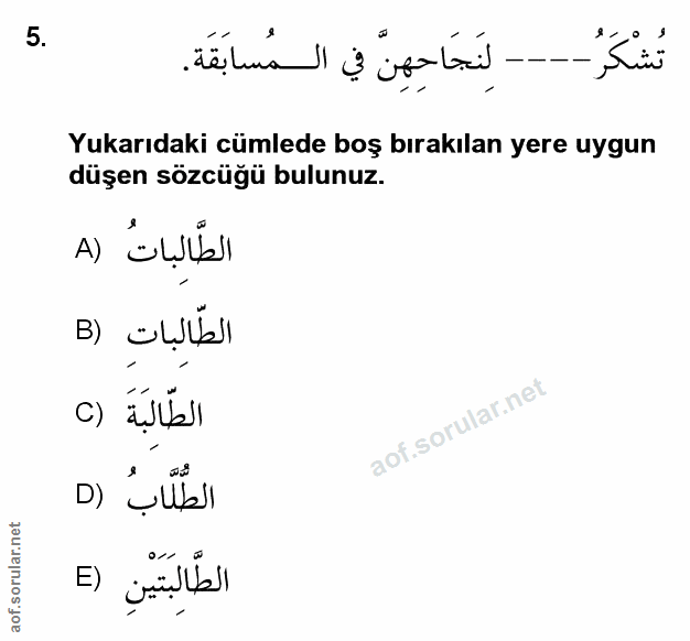 Soru 5