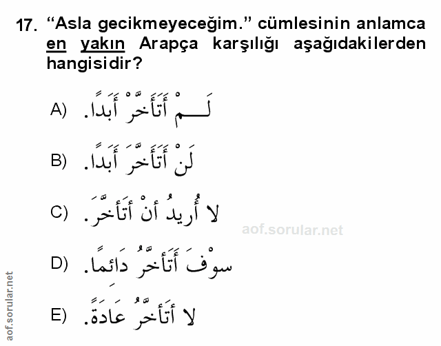 Soru 17