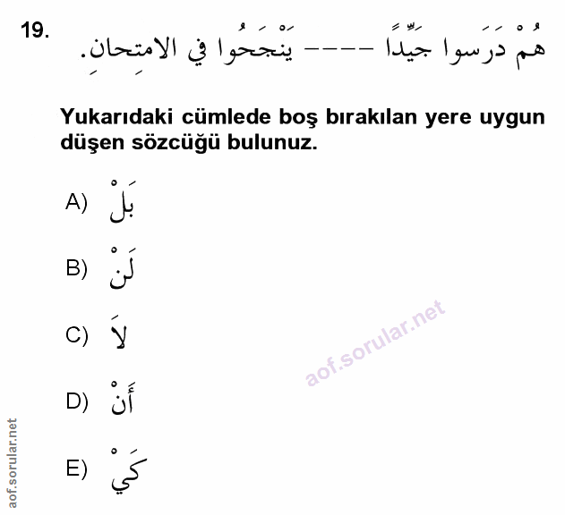 Soru 19
