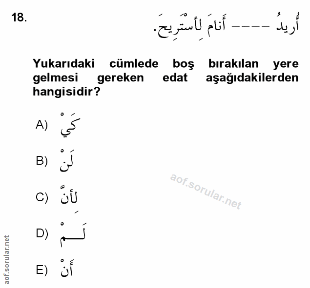 Soru 18