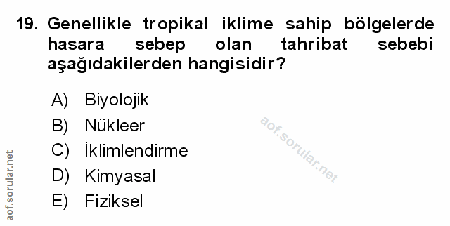 Soru 19