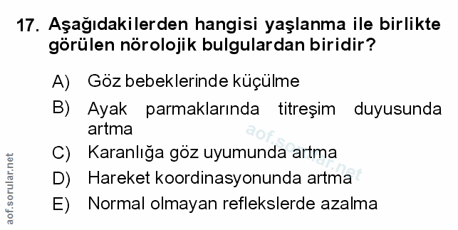 Soru 17