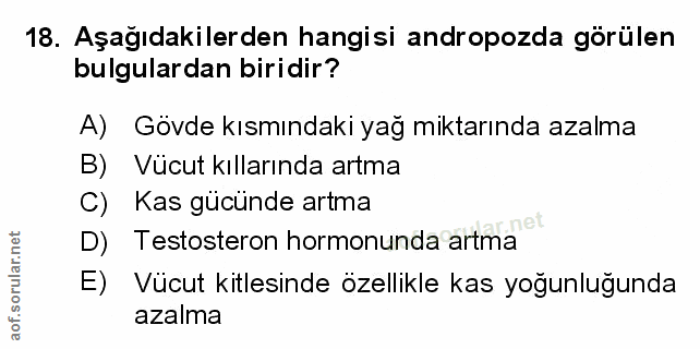 Soru 18