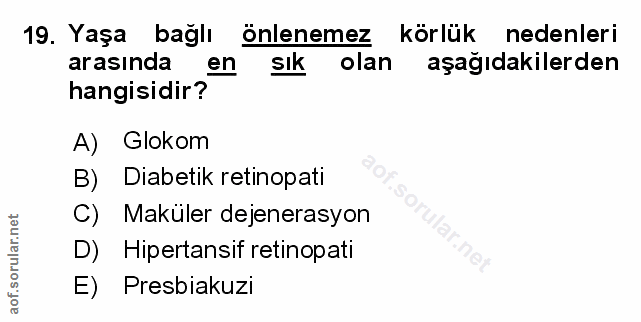 Soru 19