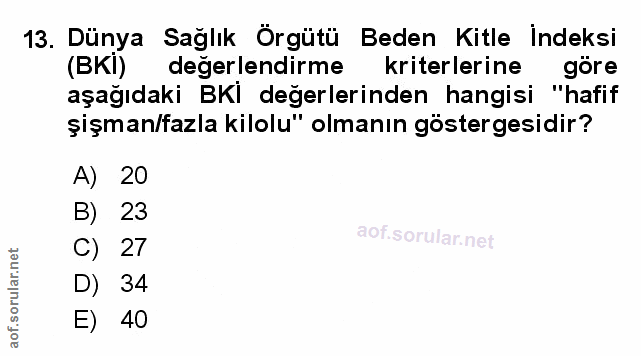 Soru 13