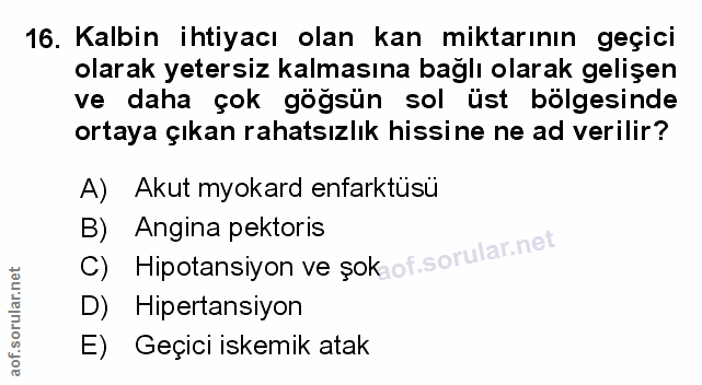 Soru 16