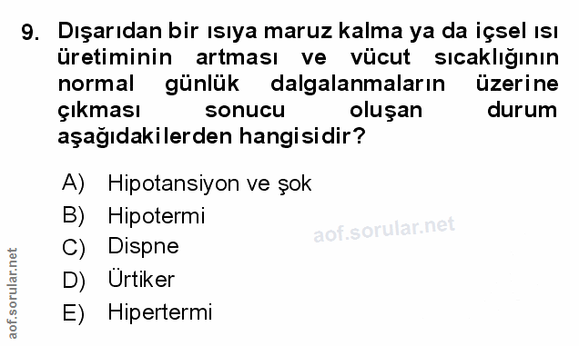 Soru 9