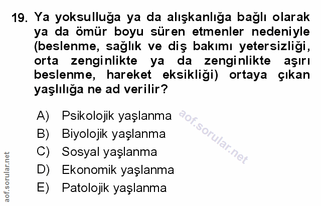 Soru 19