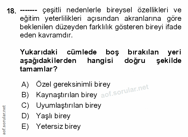 Soru 18