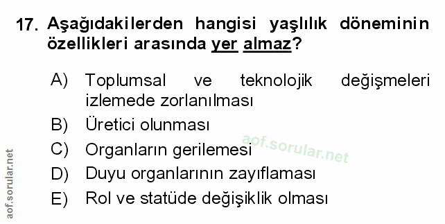 Soru 17