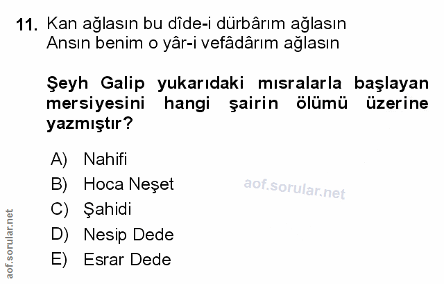 Soru 11