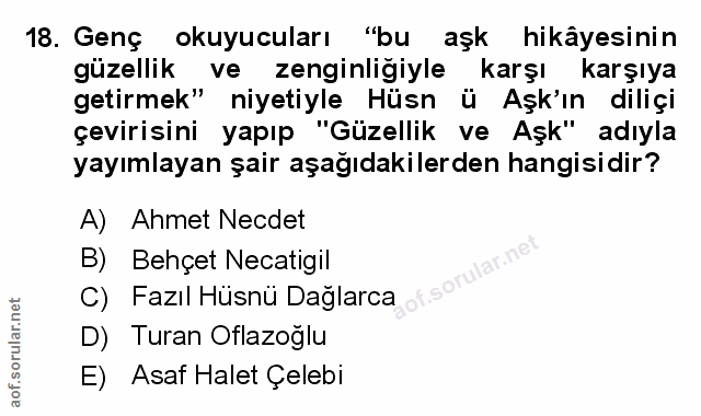 Soru 18