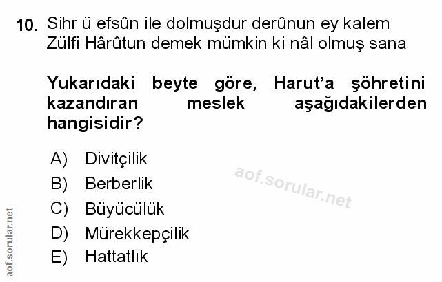 Soru 10