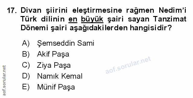 Soru 17