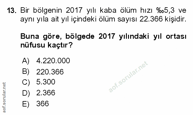 Soru 13