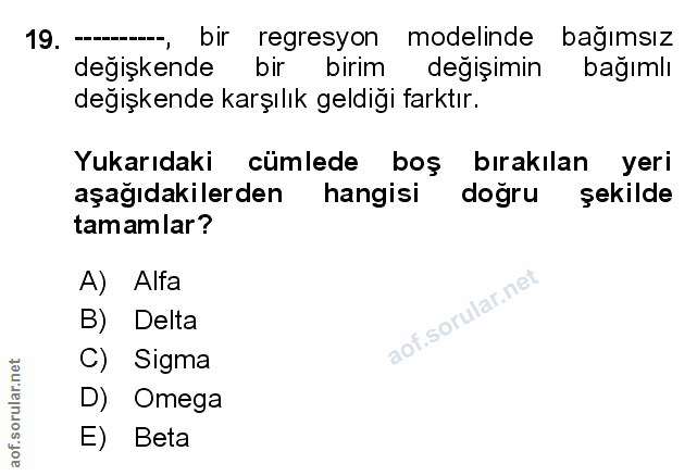 Soru 19