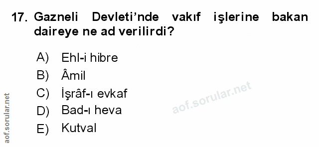 Soru 17