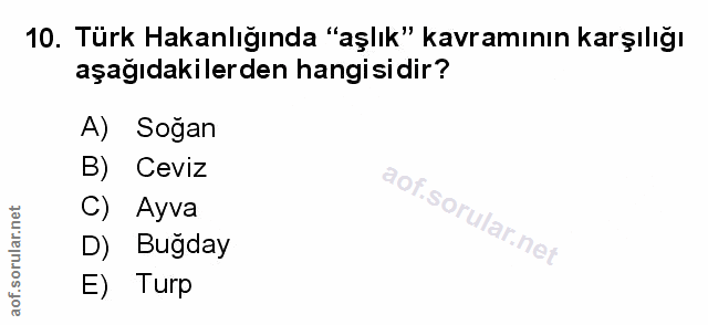 Soru 10