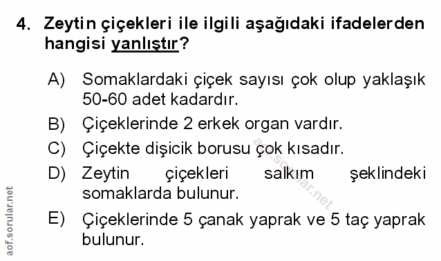 Soru 4