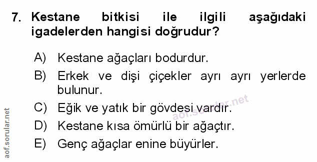 Soru 7
