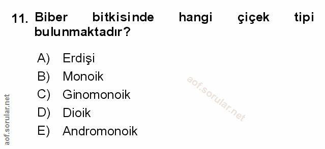 Soru 11