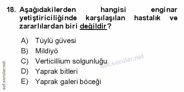 Soru 18