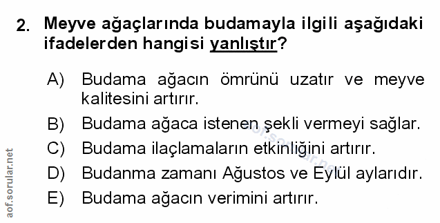 Soru 2