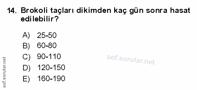 Soru 14