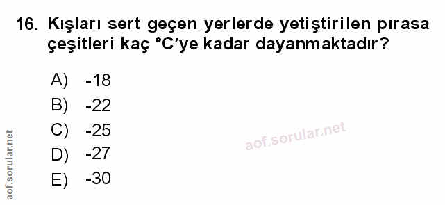 Soru 16