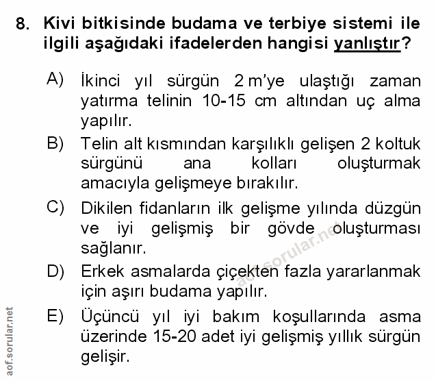 Soru 8