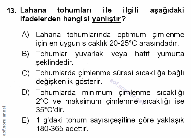 Soru 13