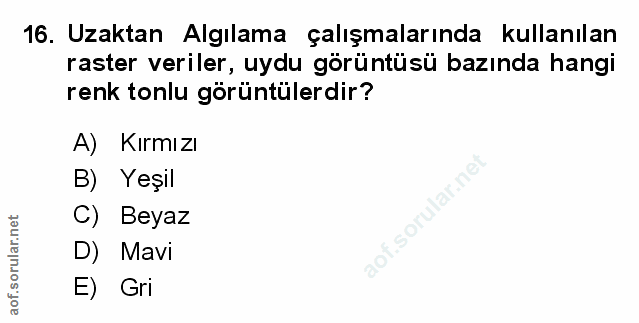 Soru 16