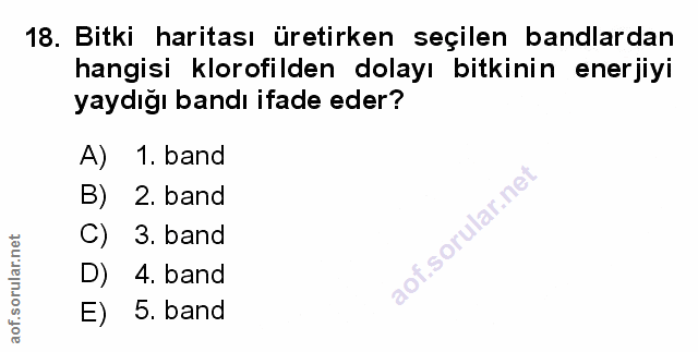 Soru 18