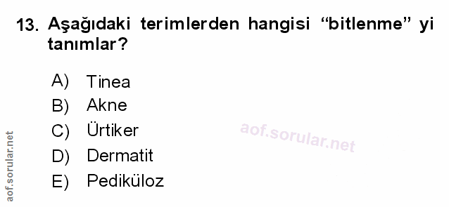 Soru 13