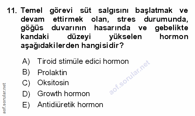 Soru 11
