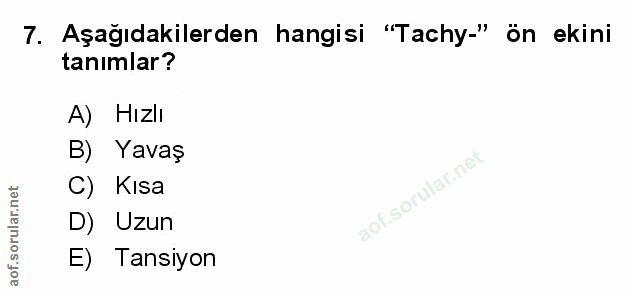 Soru 7